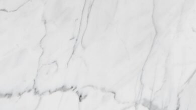 premium industry forecast analysis