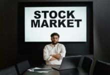 premium sector intelligence contacts