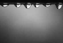 professional web solution with id 120645377