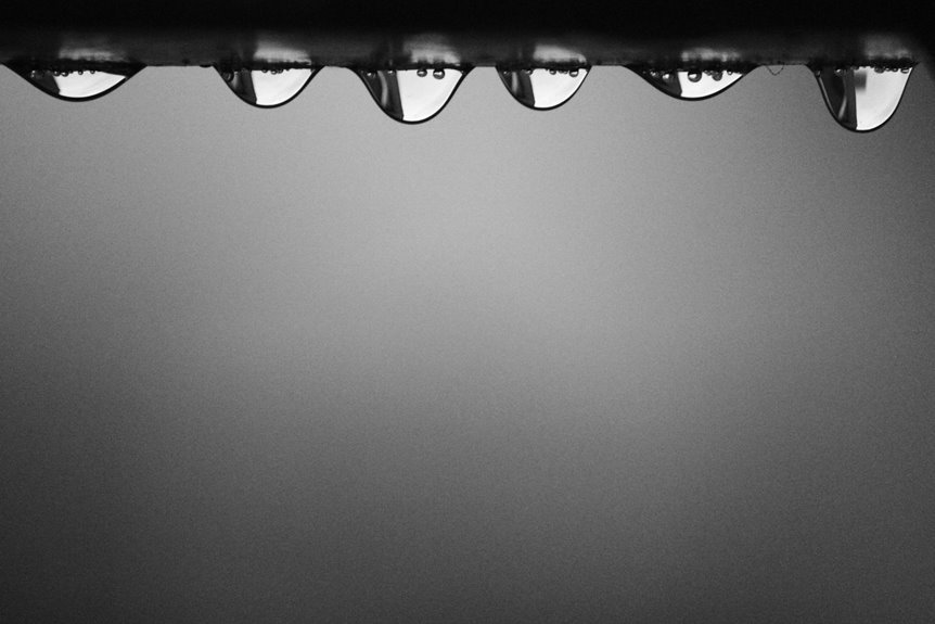 professional web solution with id 120645377